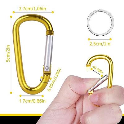 40 Pack 2 Aluminum Carabiner Clip D Ring Carabiners Small Carabiner  Keychain Spring Snap Hooks, Mini Carabiner Clip Set for Keys, Dog Leash,  Camping Hiking Accessories - Yahoo Shopping