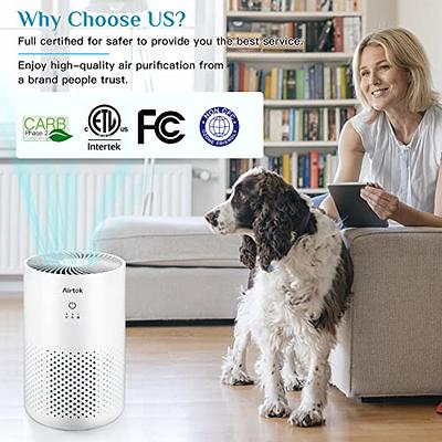  Xiaomi Air Purifiers for Home Bedroom, Allergen Removal, Smart  WiFi Alexa, Large Room Air Purifier Ultra Quiet Auto, PM2.5 Air Quality,  HEPA Filter Cleaner for Pets Hair, Odor, Dust, Smoke, 4Compact: Home &  Kitchen