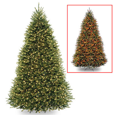 National Tree Company Pre-lit Artificial Christmas Hanging