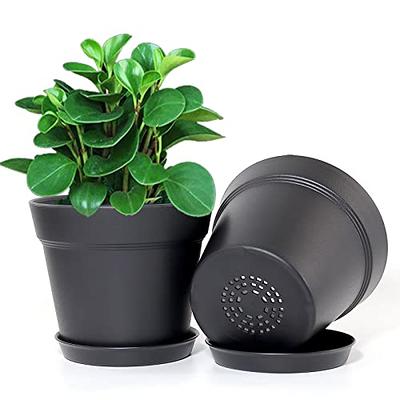 FIASON 10/9/8 inch Black Plant Pots, Plastic Flower Pots with Drainage  Holes and Saucers, A Set of 3 Planters Suitable for Indoor and Outdoor