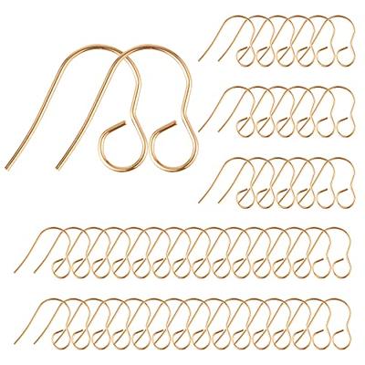 WEWAYSMILE 100 Pcs Earring Hooks for Jewelry Making, Hypoallergenic Earring  Hooks Stainless Steel Earring Fish Hooks for Women Girls Men Sensitive Ears  - Yahoo Shopping