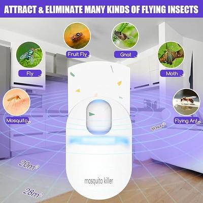 Flying Insect Trap Indoor, Electric Insect Trap Plug in with 10 Pcs Sticky  Pads, Fruit Fly Traps Mosquito Trap Indoors Gnat Killer Fly Catcher for  Home, Non-Toxic and Odorless Fly Killer Trap