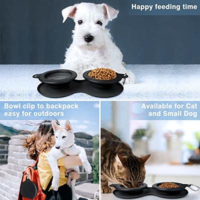 The Travel Buddy Foldable All-in-One Double Bowl & Mat - Portable Cat Food & Water Dish / Your Cat Backpack