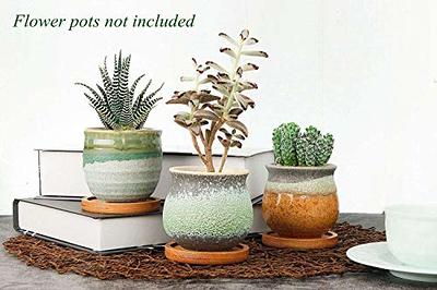 Medium 6 Glazed Flower Pot | nazarethceramicctr