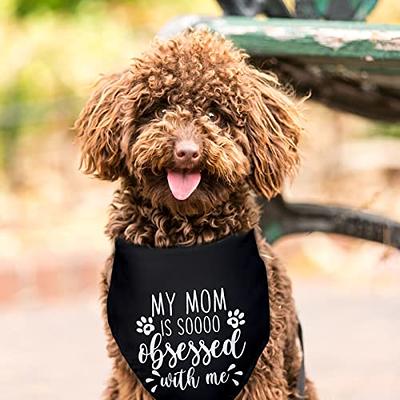 Pet me clearance dog bandana