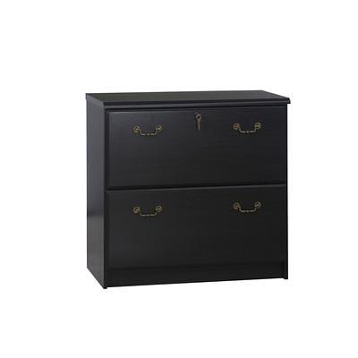 2-Drawer Lateral File Cabinet with Lock, Large Wood Filing Cabinet - Yahoo  Shopping