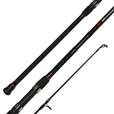 BERRYPRO Surf Spinning Rod Carbon Fiber Surf Rod Travel Fishing Rod  (9'/10'/11'/12')