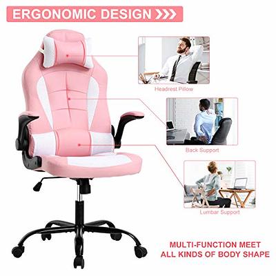 Eureka Ergonomic office chair with adjustable dual lumbar support,  headrest, armrests