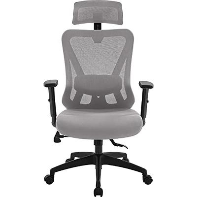 DEVAISE Computer Office Chair, High Back Ergonomic Desk Chair with