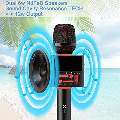 2049 X50 2x13w Cardioid Dynamic Karaoke Microphone, Handheld