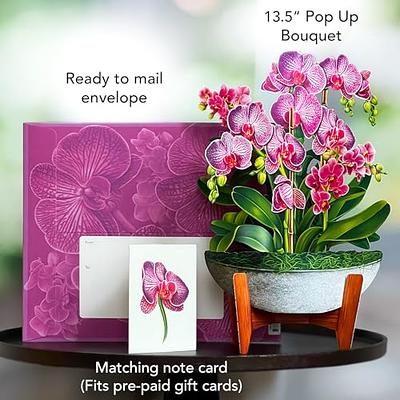 Freshcut Paper Pop Up Cards, 3 Pack - Everyday Appreciation, Three (3), 12  inch Life Sized Forever Flower Bouquet 3D Popup Paper Flower Greeting Cards