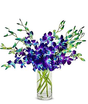 Sympathy Flowers & Gifts - FromYouFlowers