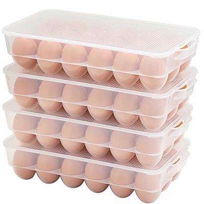 RMay Store hotumn 2 tiers deviled egg containers with lid & holder plastic  egg holders clear