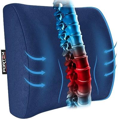 QUTOOL Orthopedic Seat Cushion and Lumbar Support Pillow for Office Chair  Memory Foam Car Seat Cushion with Washable Cover Ergonomic Desk Chair