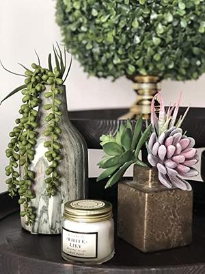 String of Pearls - Fake Hanging Plants Artificial Decor - Faux Succulents  Unpotted - Artificial Hanging Plants - Succulents Plants Artificial for