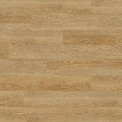 Polished Pro Truly Brown 8 MIL x 6 in. W x 48 in. L Glue Down Waterproof  Luxury Vinyl Plank Flooring (40 sqft/case)