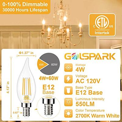 GOLSPARK E12 LED Bulb Dimmable 60 Watt Equivalent 10 Pack, 2700K Warm White  Type B E12