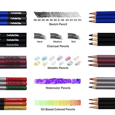 CwhaleCblu 77 Pack Drawing Set Art Kit, Pro Art Set with 3-Color Sketch  Book, Colored, Graphite, Charcoal, Watercolor & Metallic Pencil, Art  Supplies For Teens Girls Boys Kids Beginners - Yahoo Shopping