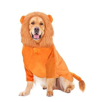 WQZYCY Pet Deadly Doll Dog Costume Dog Halloween Costumes