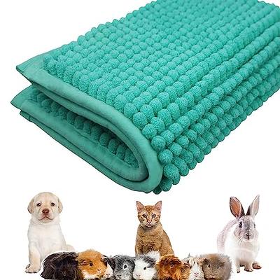 OLANLY Dog Door Mat for Muddy Paws, Absorbs Moisture and Dirt, Absorbent  Non-Slip Washable Mat