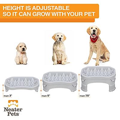 Dazone Adjustable 4 Different Height Raised Elevated Dog Bowls