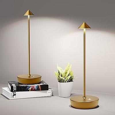 Kaowod Battery Operated Table Lamp with Timer for Home Decor, Vintage Glass  Cordless LED Table Top L…See more Kaowod Battery Operated Table Lamp with