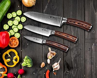 Best Deal for CHUYIREN Kitchen Knife Set, Knife Set, High Carbon