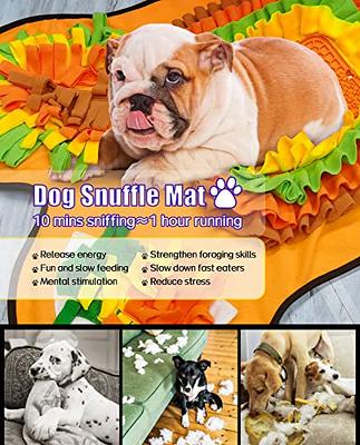 Murve Snuffle Mat for Dogs Large Size 28.7 X 28.7 in. Tire Your Dogs Out  Activity Mat for Boredom and Stimulation Play Mat Higher Entertainment  Value