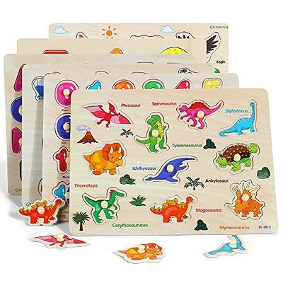  Wooden Puzzles for Toddlers 1-3, 6 Pack Peg Puzzles