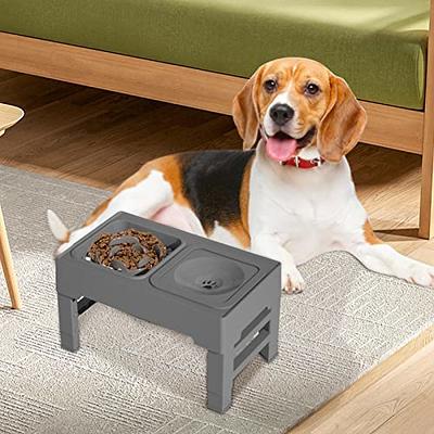 2-in-1 Elevated Raised Dog Bowl