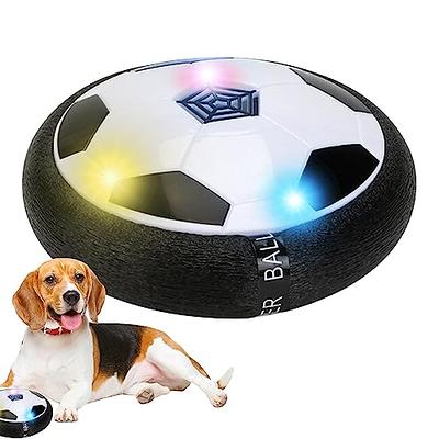 Kirisima Interactive Dog Balls Toys Active Rolling Ball for Dogs, Remote  Control Light-Up Dog Ball USB Rechargeable Yellow - Yahoo Shopping