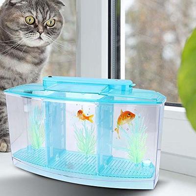 TREELF Complete Set of Negative Pressure Fish Tank Floating Betta Fish Tank  Mini Suspended Fish Bowl Ecological Aquarium with Landscaping and  Decoration for Small Space Living Room or Desktop - Yahoo Shopping