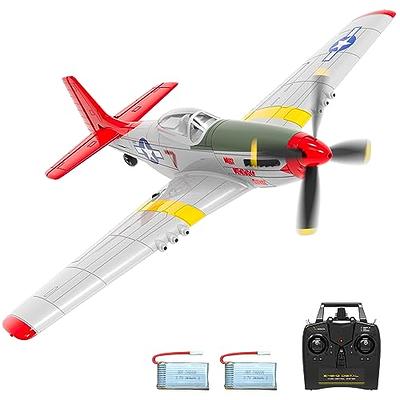 LEAMBE 4 Channel RC Plane - Ready to Fly Aerobatic Aircraft