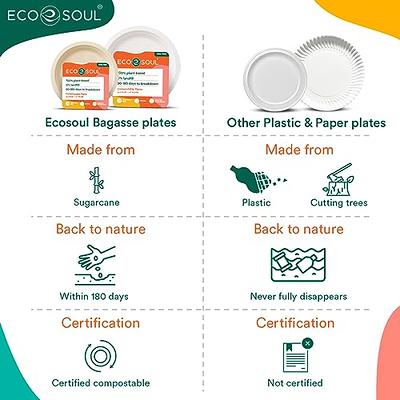 100% Compostable 6 Inch Paper Plates Disposable Party Plates I Heavy Duty  Eco-Friendly Sturdy Appetizer Plates Disposable I Biodegradable Unbleached