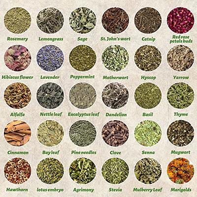 Witchcraft Supplies Herbs for Witchcraft-32 Pack Dried Herb Kit for Wicca,  Pagan and Wiccan Rituals, Altar Supplies, Magic Spells and More-Witch Herbs  with Crystal Spoon