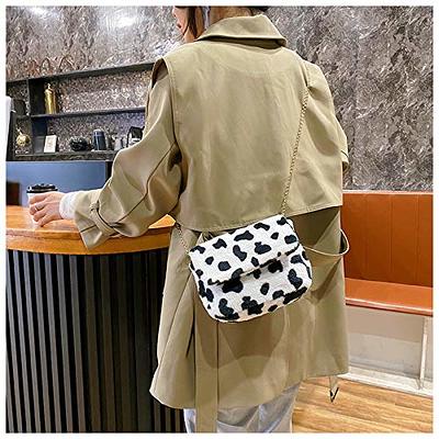 NPBAG Small Purse, Crossbody Bag for Women, Clutch Handbag Shoulder Bag  with Metal Chain Strap, Designer Trendy Lady Wallet