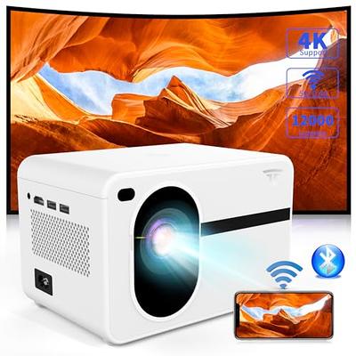 Mini Projector, HD Portable Projector 1080P Full HD Supported