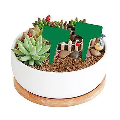 FUNOMOCYA Plastic Plant Trays Plastic Trays for Plants Veggie Flower Pot  Saucers Propagation Tray Succulent Plants Pots Plant Pots Tray Flower Pots