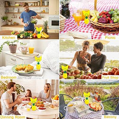 Trappify Sticky Gnat Traps for House Indoor - Yellow Fruit Fly Traps for  Indoors/Outdoor Plant - Insect Catcher White Flies, Mosquitos, Fungus Gnat