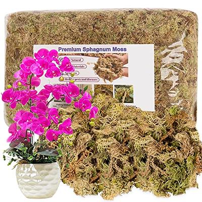Halatool 3.3LBS Natural Sphagnum Moss for Plants 60 QT Premium Peat Moss  Dried Long Fiber Orchid Moss for Orchid Repotting Carnivorous Succulents  Garden Flowers Crafts Terrarium and Reptiles - Yahoo Shopping