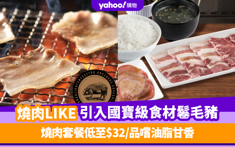 燒肉LIKE優惠｜燒肉LIKE引入匈牙利國寶級食材「鬈毛豬」 燒肉套餐低至$32/品嚐油脂甘香 燒肉控必食！