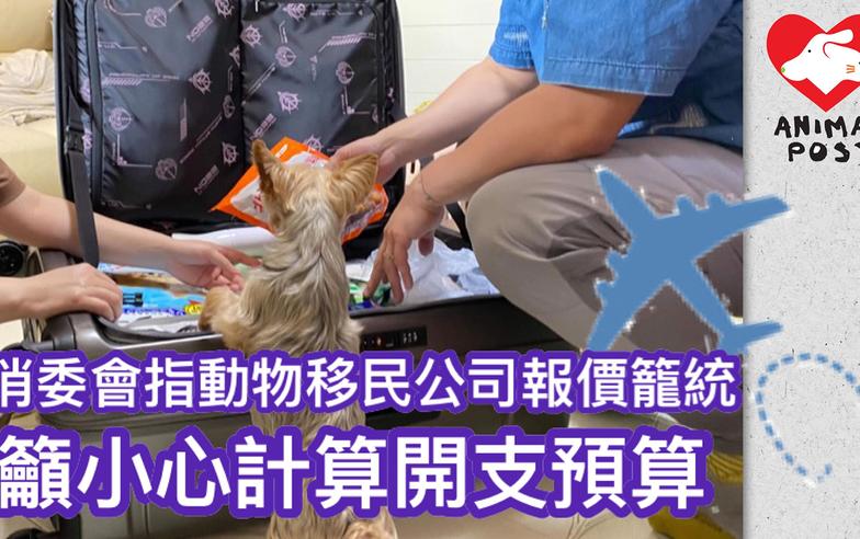 消委會指多間動物移民公司報價籠統　籲仔細計算開支預算