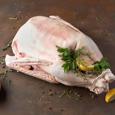 Organic Chicken, Whole: Frozen - 2 Chickens (2.5-3.5 lbs Avg. Each) - D'Artagnan