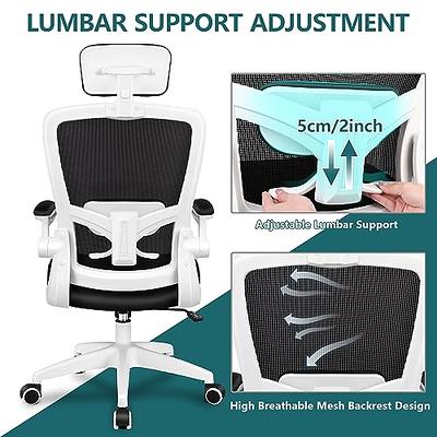 FelixKing Office Chair, Ergonomic Desk Chair with Adjustable