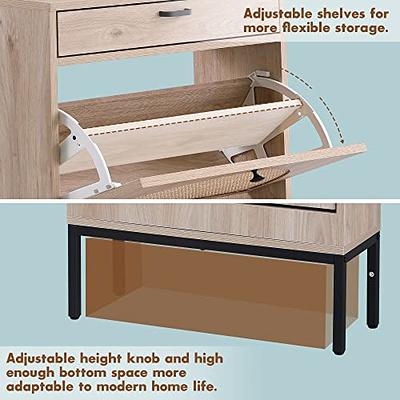 Shoe Cabinet with Metal Legs, Free Standing Shoe Storage Shelve with 2 Flip  Drawers, Storage Shelf and Storage Drawer, Modern Shoe Rack Storage