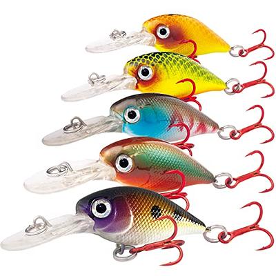 Lurefans CC70 Topwater Crankbait for Bass Fishing Lures, Floating, Freshwater  Shallow Diving Crank Bait, 2 3/4 in 0.44 Oz Depth 0-3 Ft, BKK Hooks, Pike  Walleye Fishing Lures, Pro Tournament Hard Bait - Yahoo Shopping