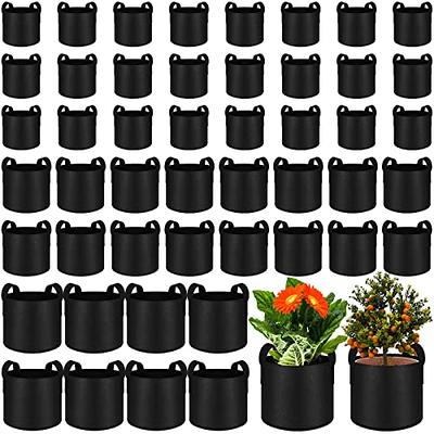 LUNGAR Plant Grow Bags - 10 Gallon 5 Packs Planter Pot, Thickest Aeration  300G Non-Woven Fabric, Reinforced Handles for Weatherproof Nursery Pot