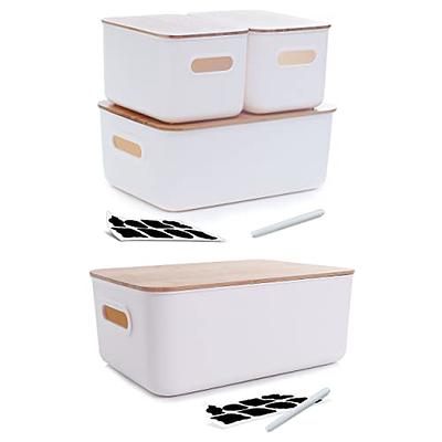  Novelinks Transparent 4 X 6 Photo Storage Boxes - Photo  Organizer Cases Photo Keeper Picture Storage Containers Box For Photos - 10  PACK