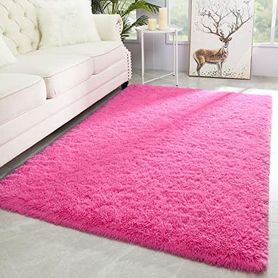 Ophanie Area Rugs for Bedroom Living Room, 4x6 Grey Fluffy Fuzzy Shag  Shaggy Carpet Soft Plush Furry Bedside Rug, Indoor Floor Rug for Kids Girls  Boys