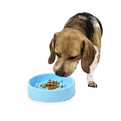 CometMars Silicone Slow Feeder, Dog Food Dish for Fast Eaters, Pet Slow  Food Bowl, Puzzle Bowl